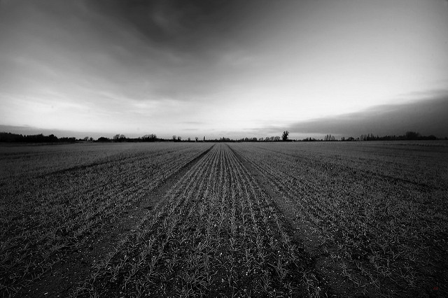 Gedanken zu Slow Media